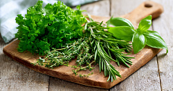 Как правильно хранить зелень: 4 проверенных способа и ошибки, которых стоит избегать